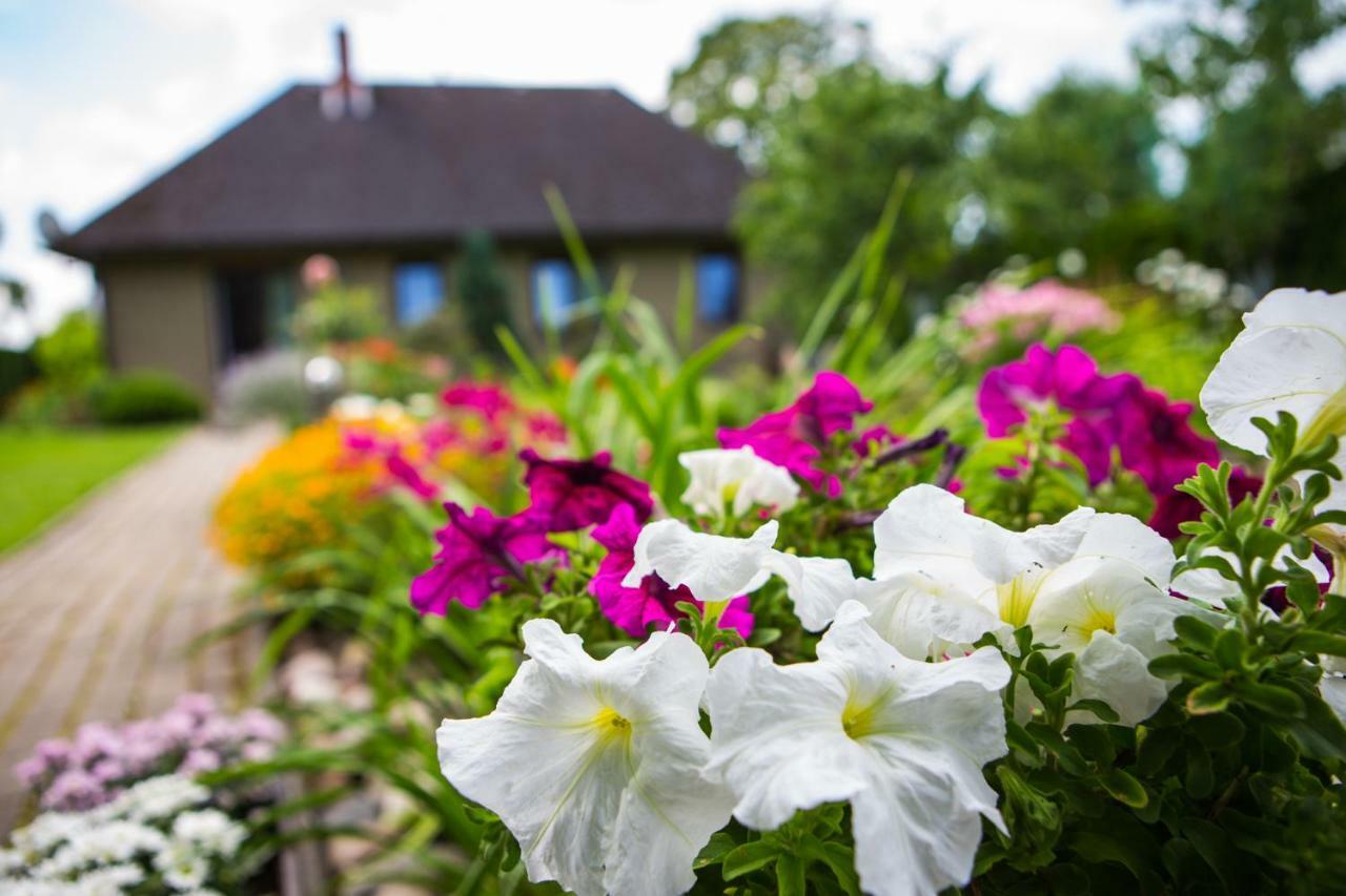 Guests House "Like Home" Sigulda Esterno foto